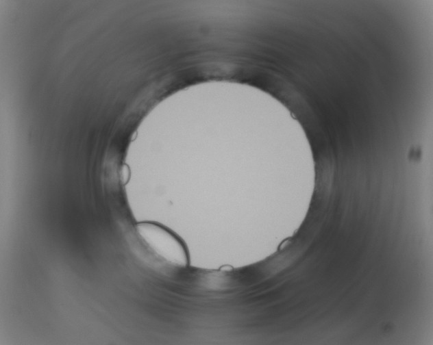 X0000113140287200910161203