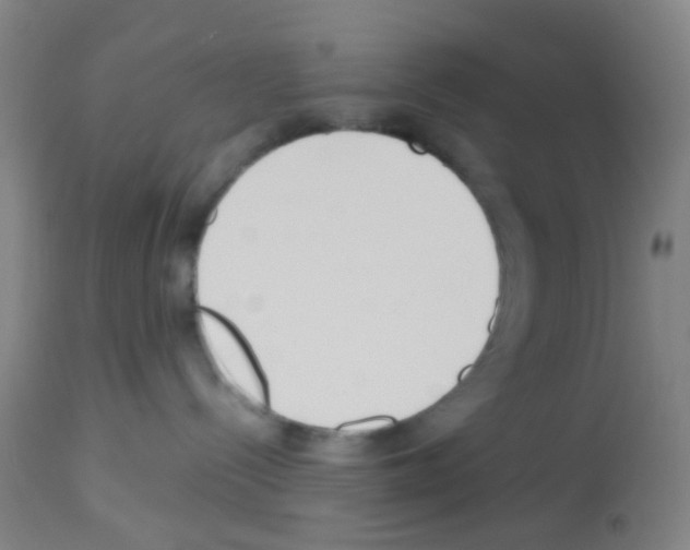 X0000113140288200910161203