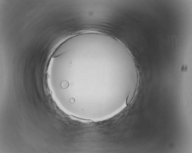 X0000113140289200910161203