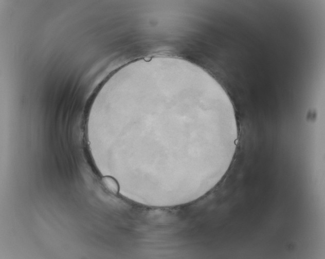 X0000113140290200910161203