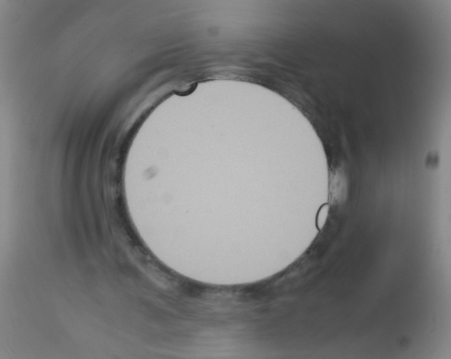 X0000113140291200910161203
