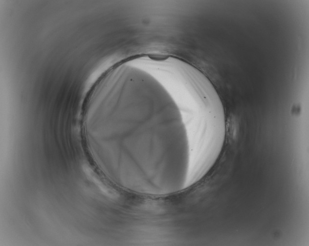 X0000113140292200910161203