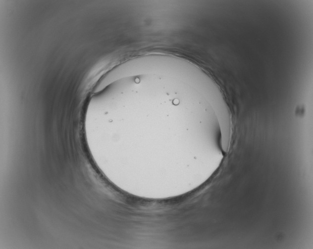 X0000113140293200910161203