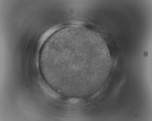 X0000113140294200910161203