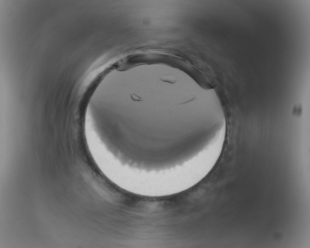 X0000113140295200910161203