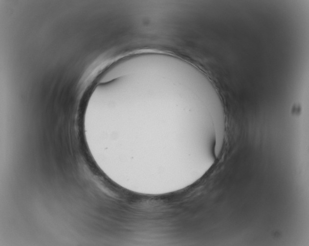 X0000113140296200910161203
