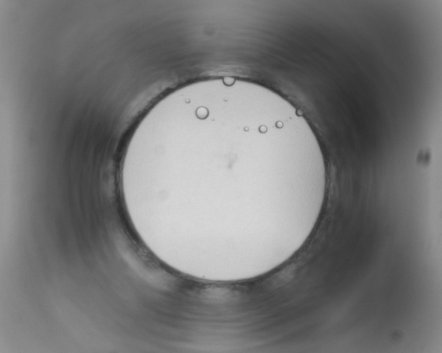 X0000113140298200910161203