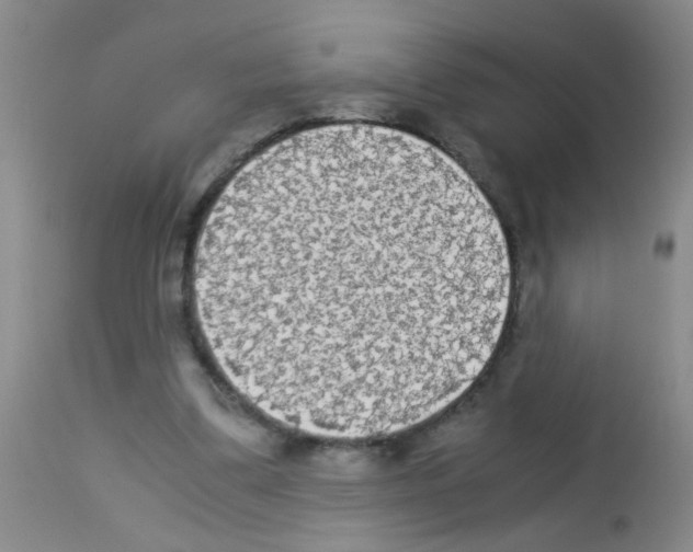 X0000113140299200910161203