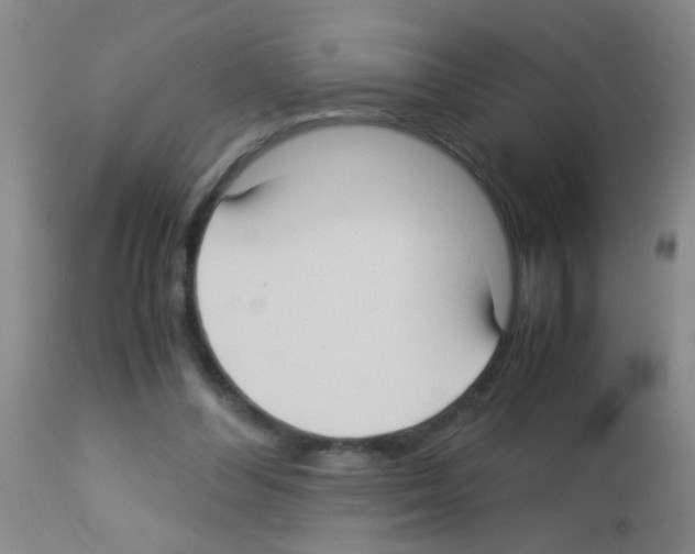 X0000113140300200910161203