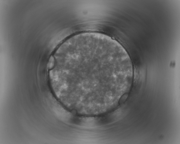X0000113140301200910161203