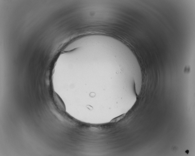 X0000113140302200910161203