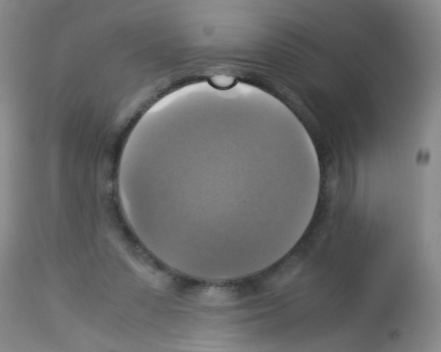 X0000113140303200910161202