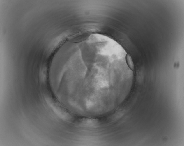 X0000113140304200910161202