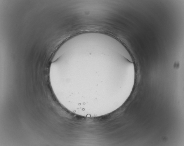 X0000113140305200910161202