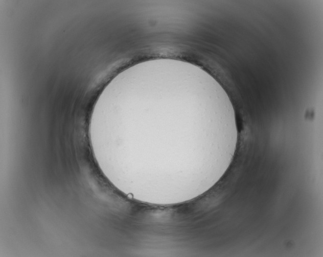 X0000113140306200910161202