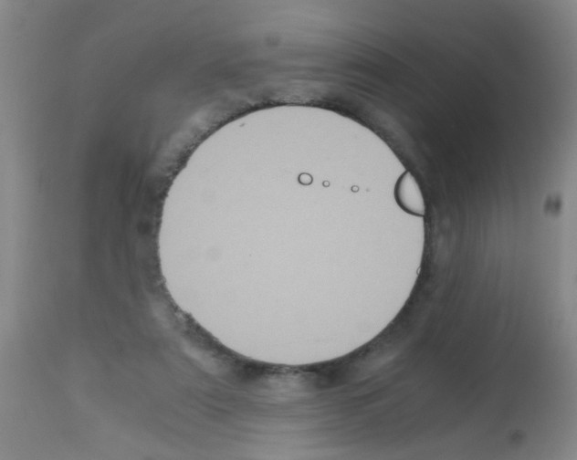 X0000113140307200910161202