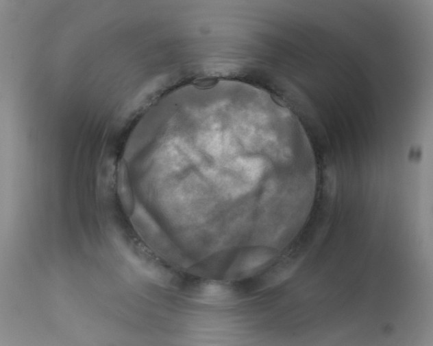 X0000113140308200910161202