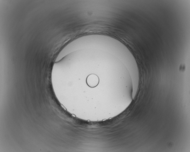 X0000113140309200910161202