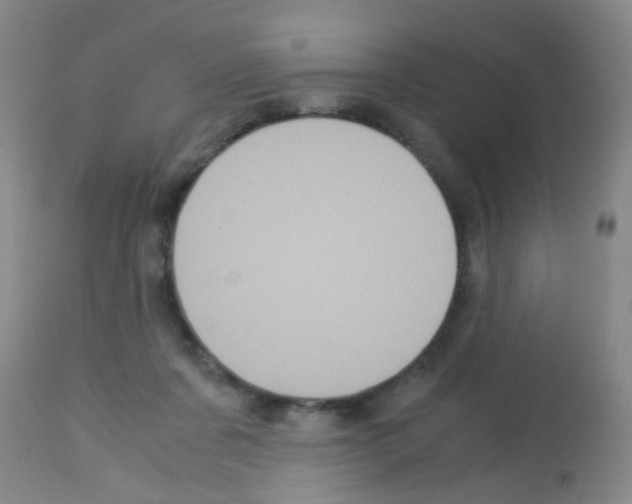 X0000113140311200910161202