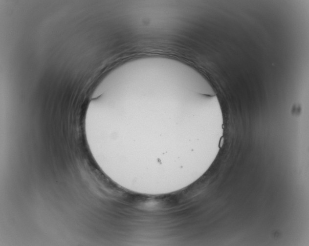 X0000113140312200910161202