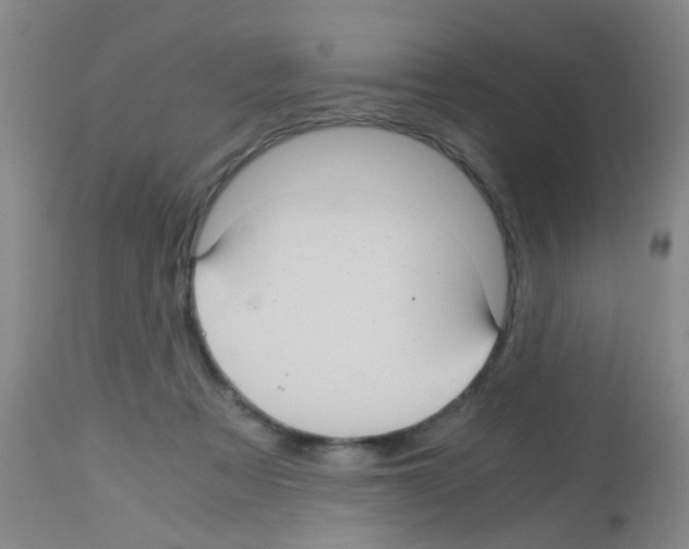 X0000113140313200910161202