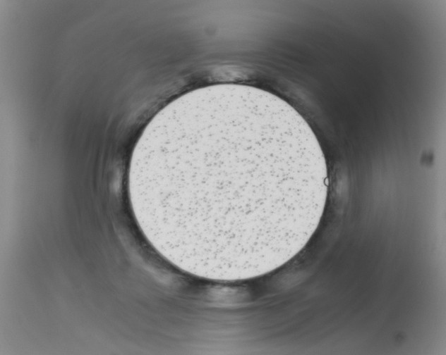 X0000113140315200910161202