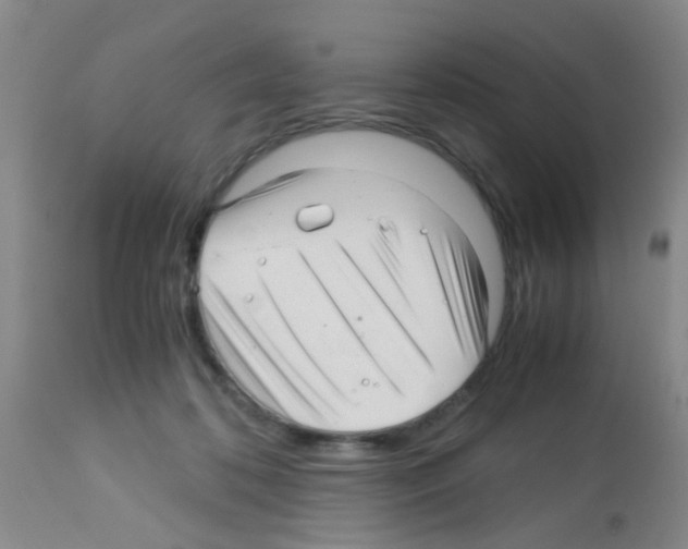 X0000113140316200910161202