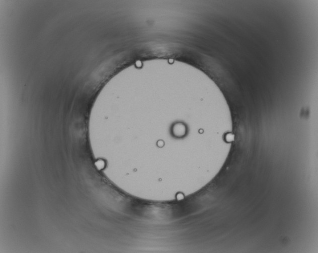 X0000113140317200910161202