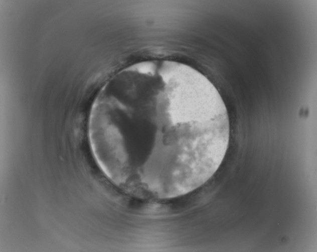 X0000113140319200910161202