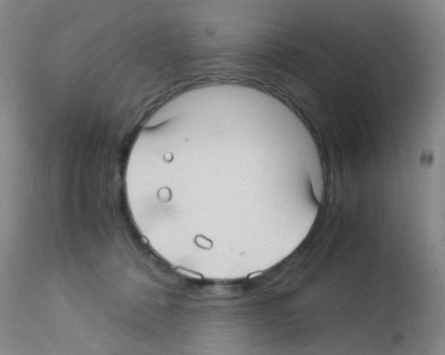 X0000113140320200910161202