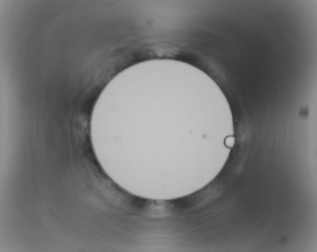 X0000113140321200910161202