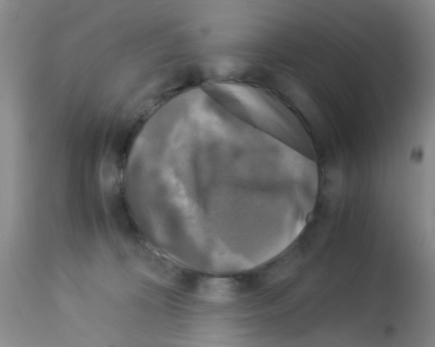 X0000113140324200910161202