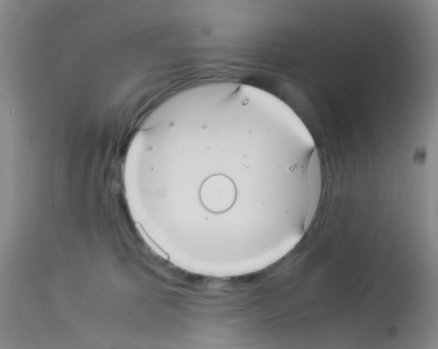 X0000113140325200910161202