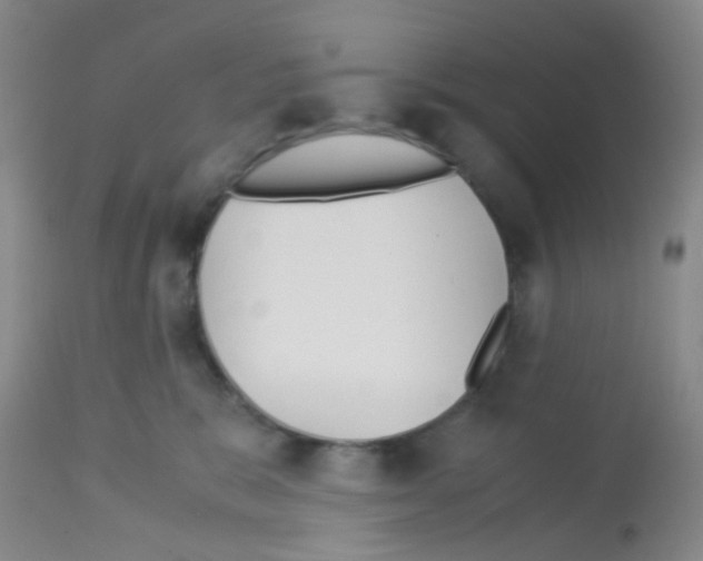 X0000113140327200910161202