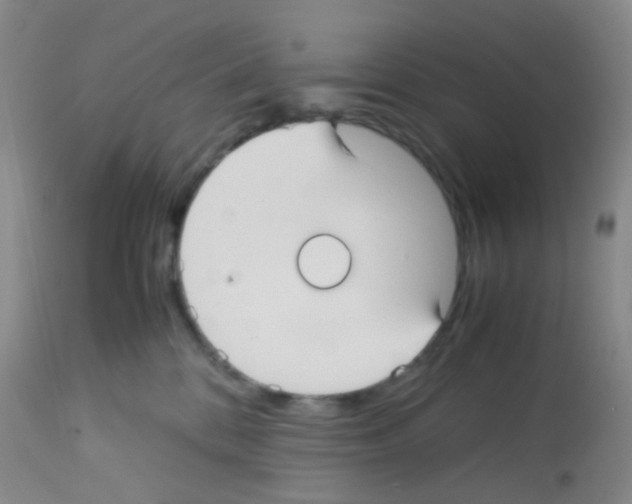 X0000113140328200910161202