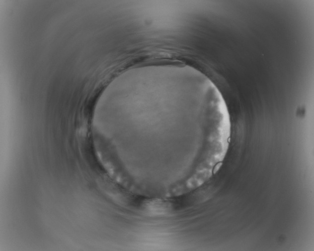 X0000113140331200910161202