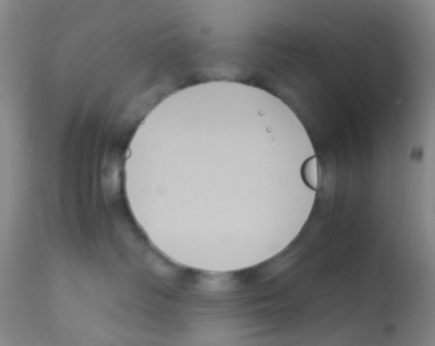 X0000113140334200910161202