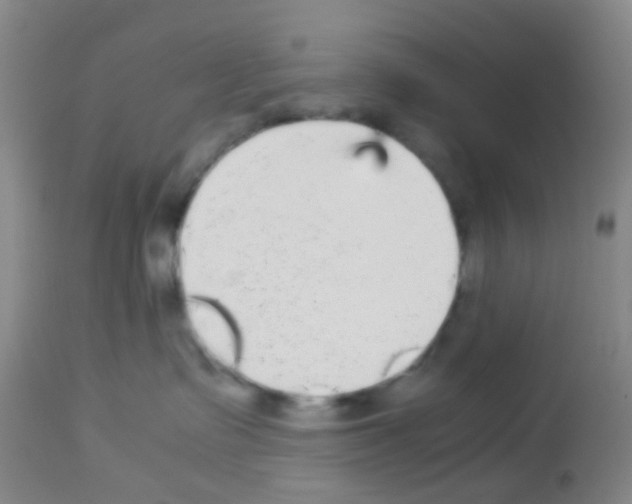 X0000113140335200910161202