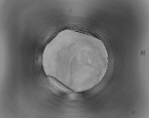 X0000113140336200910161202