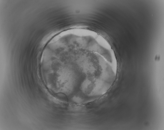 X0000113140337200910161201