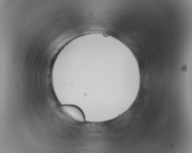 X0000113140338200910161201