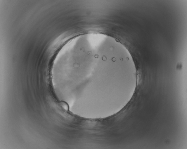 X0000113140339200910161201