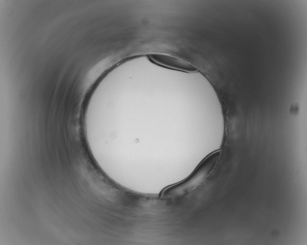 X0000113140340200910161201