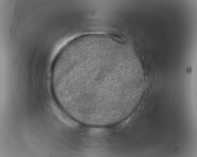 X0000113140342200910161201