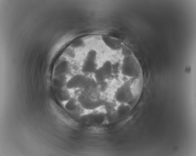 X0000113140343200910161201