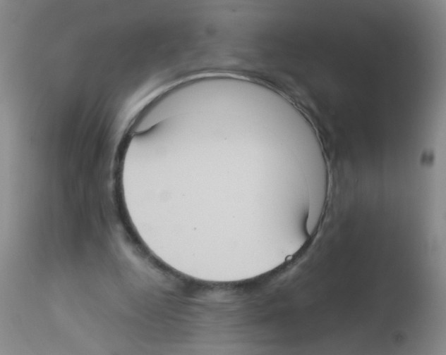 X0000113140344200910161201