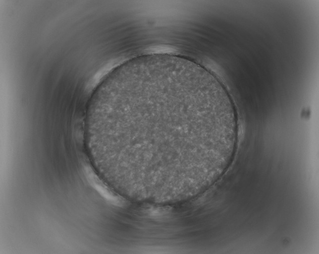 X0000113140345200910161201