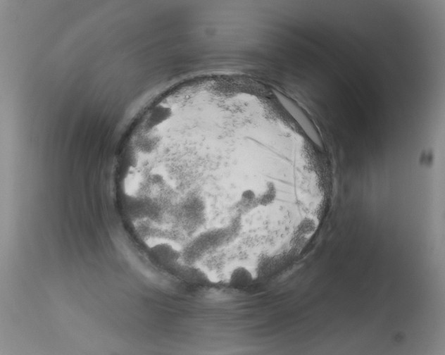 X0000113140346200910161201