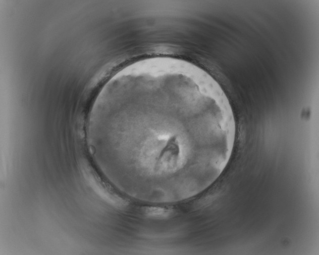 X0000113140347200910161201