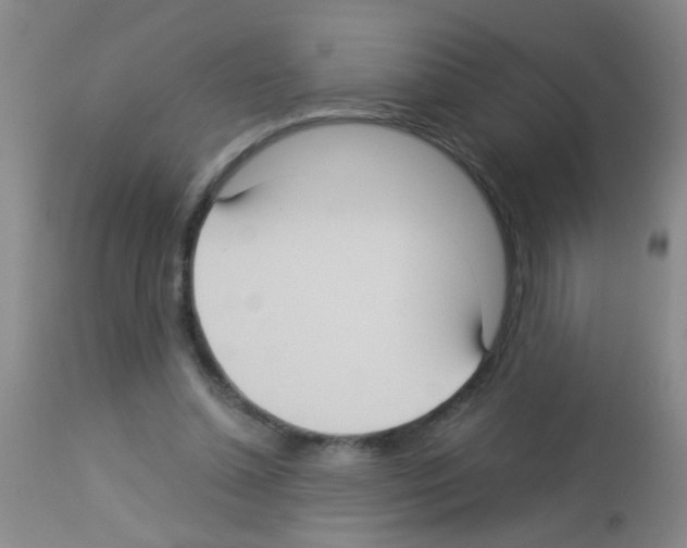 X0000113140348200910161201
